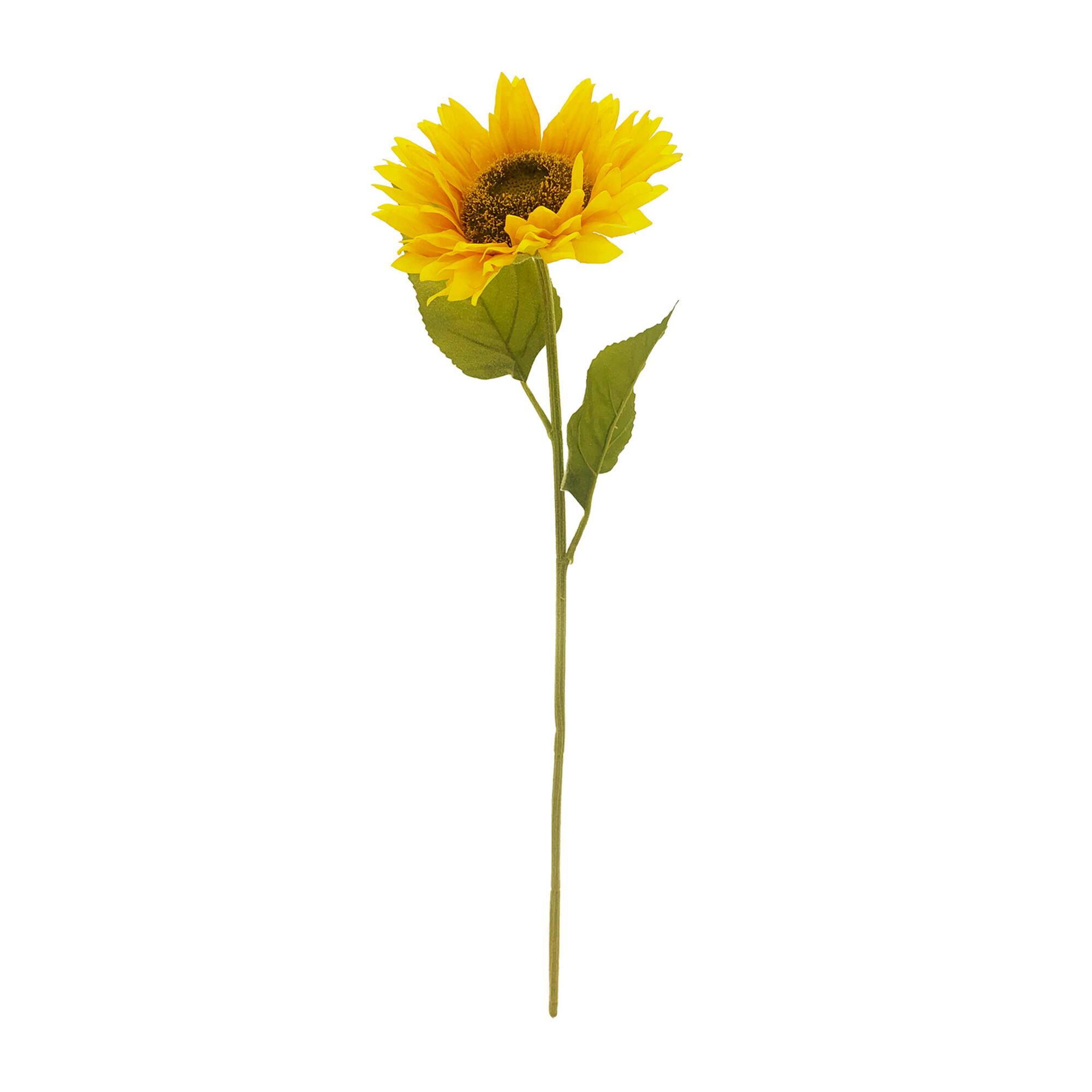 Gold Sunflower Stem by Ashland
